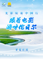 国产厕所精品